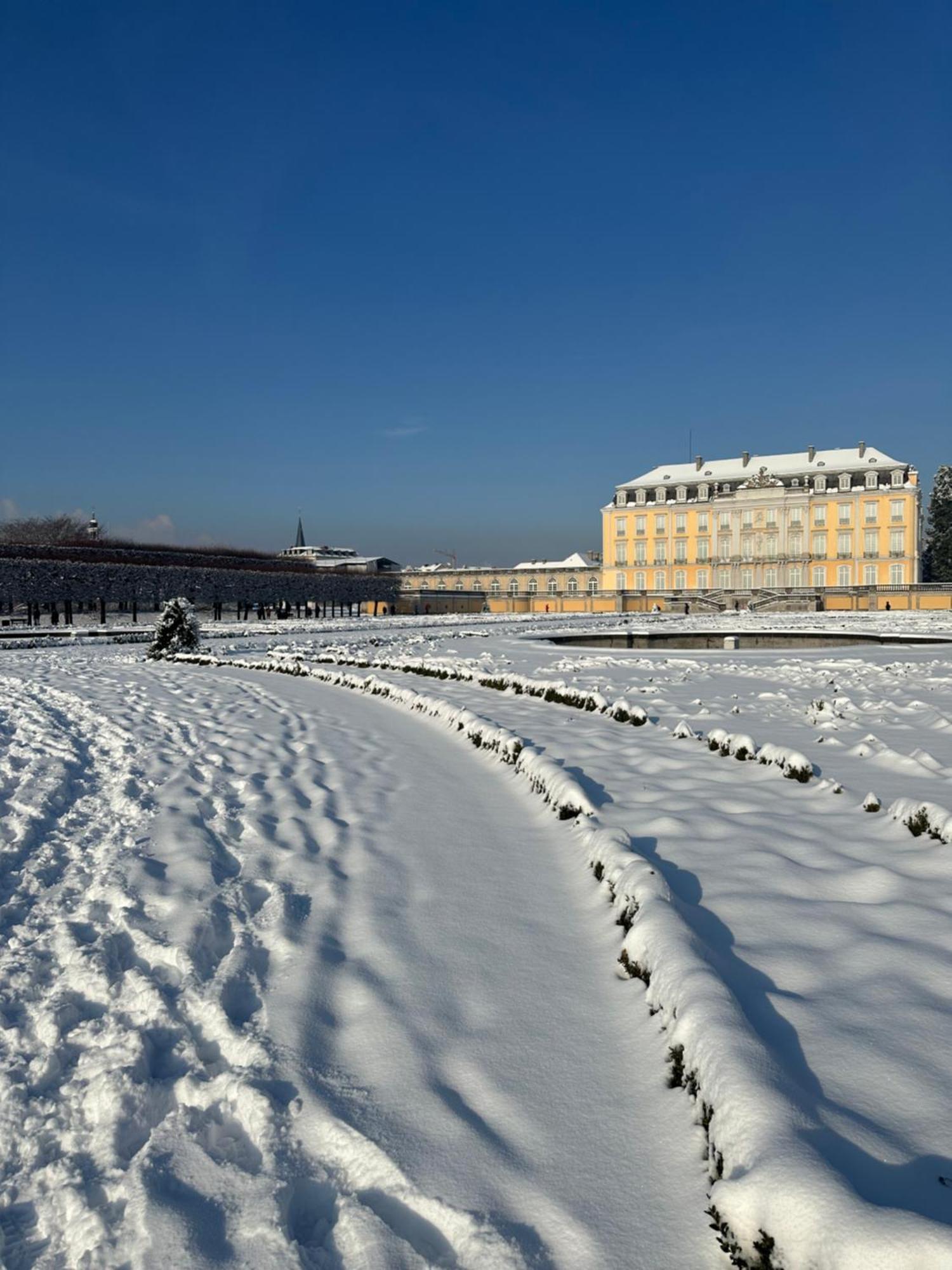 Stadtwohnung Bruehl Экстерьер фото